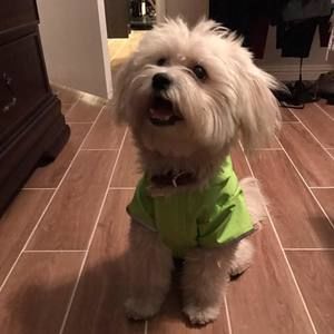 Meet your Posher, Ana